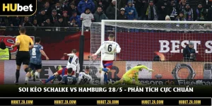 Soi Kèo Schalke Vs Hamburg 28/5 - Phân Tích Cực Chuẩn